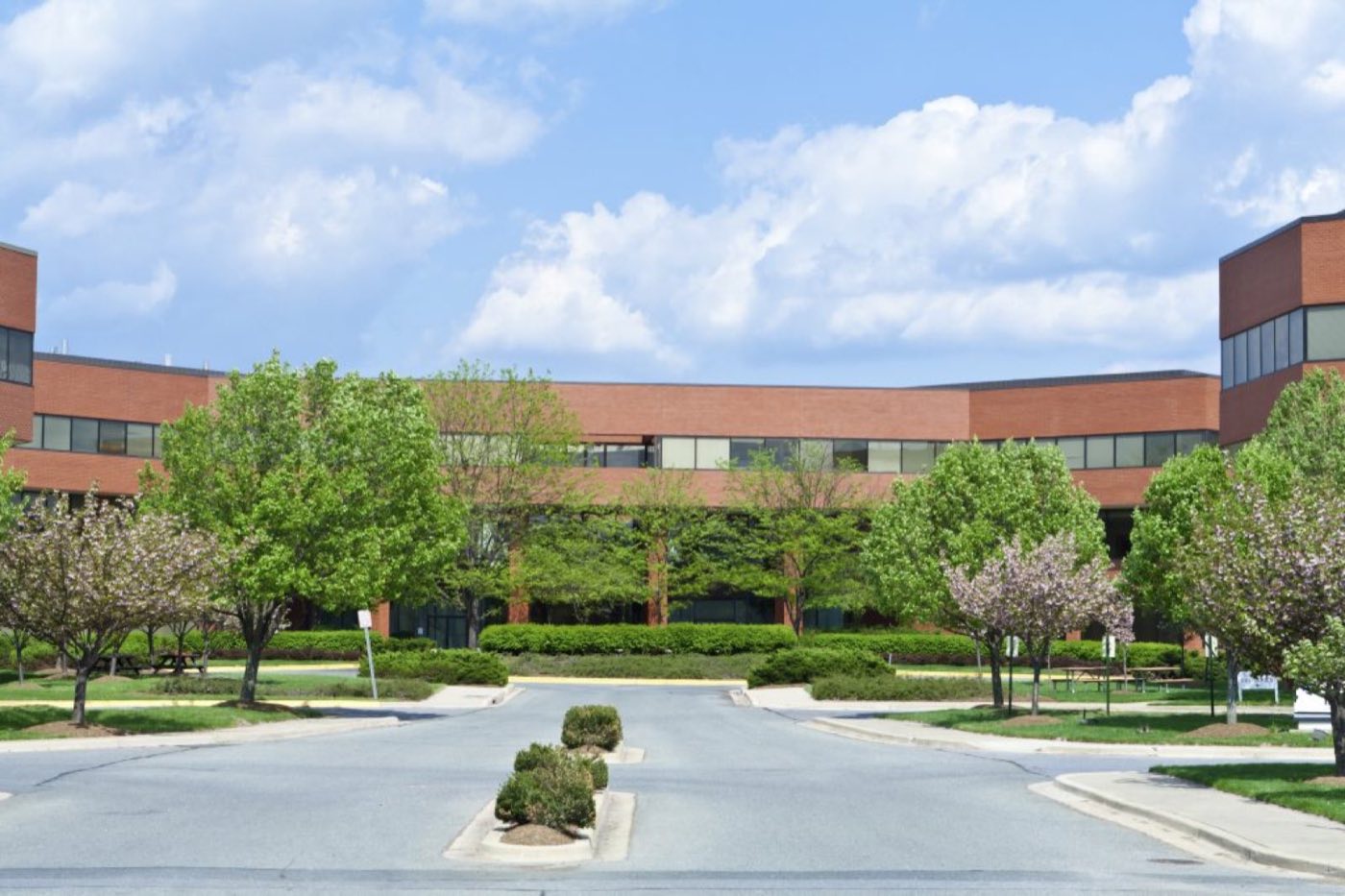 Hansen's Tree Service completed projects across the St. Louis region